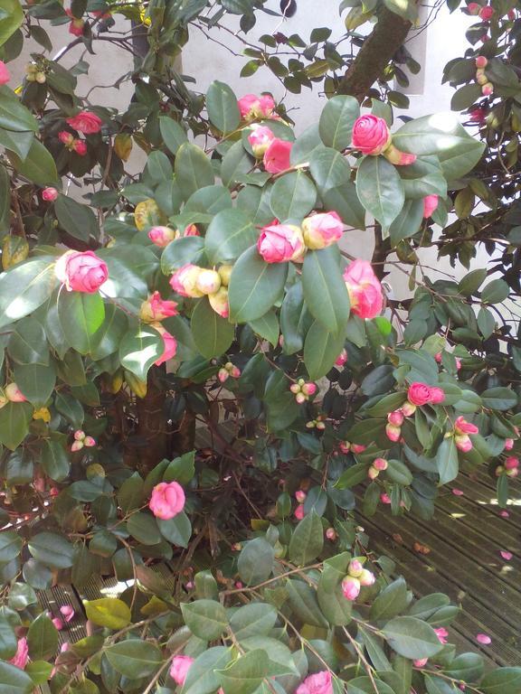 Moustey Chambres D'Hotes Au Grillon Dort מראה חיצוני תמונה
